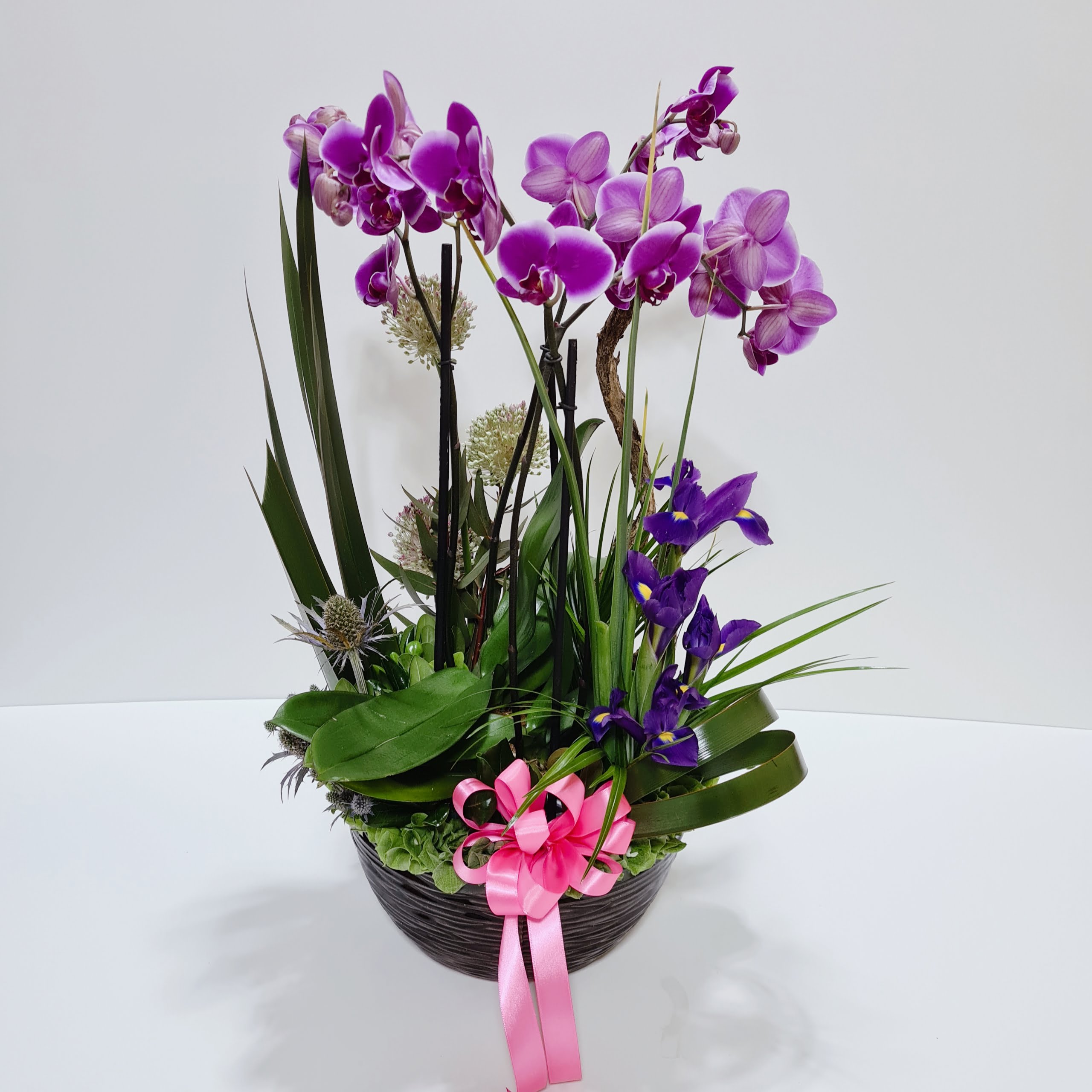 Arreglo de orquídeas moradas con follajes - Son Flores | Flores a domicilio