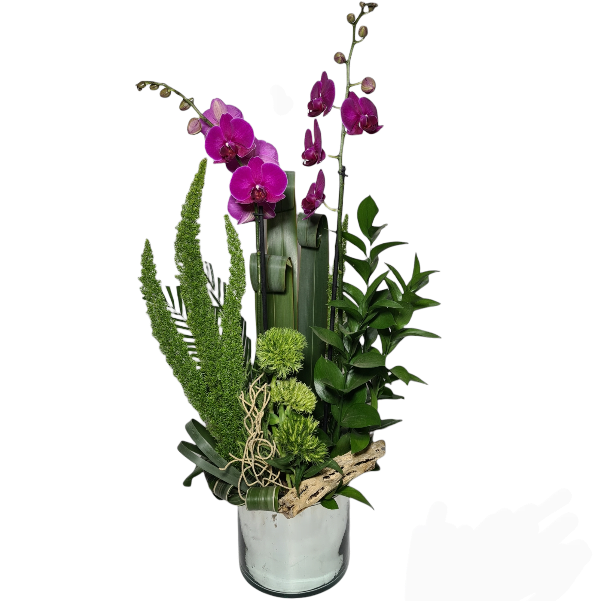 Categoría: Arreglos de orquídeas - Son Flores | Flores a domicilio