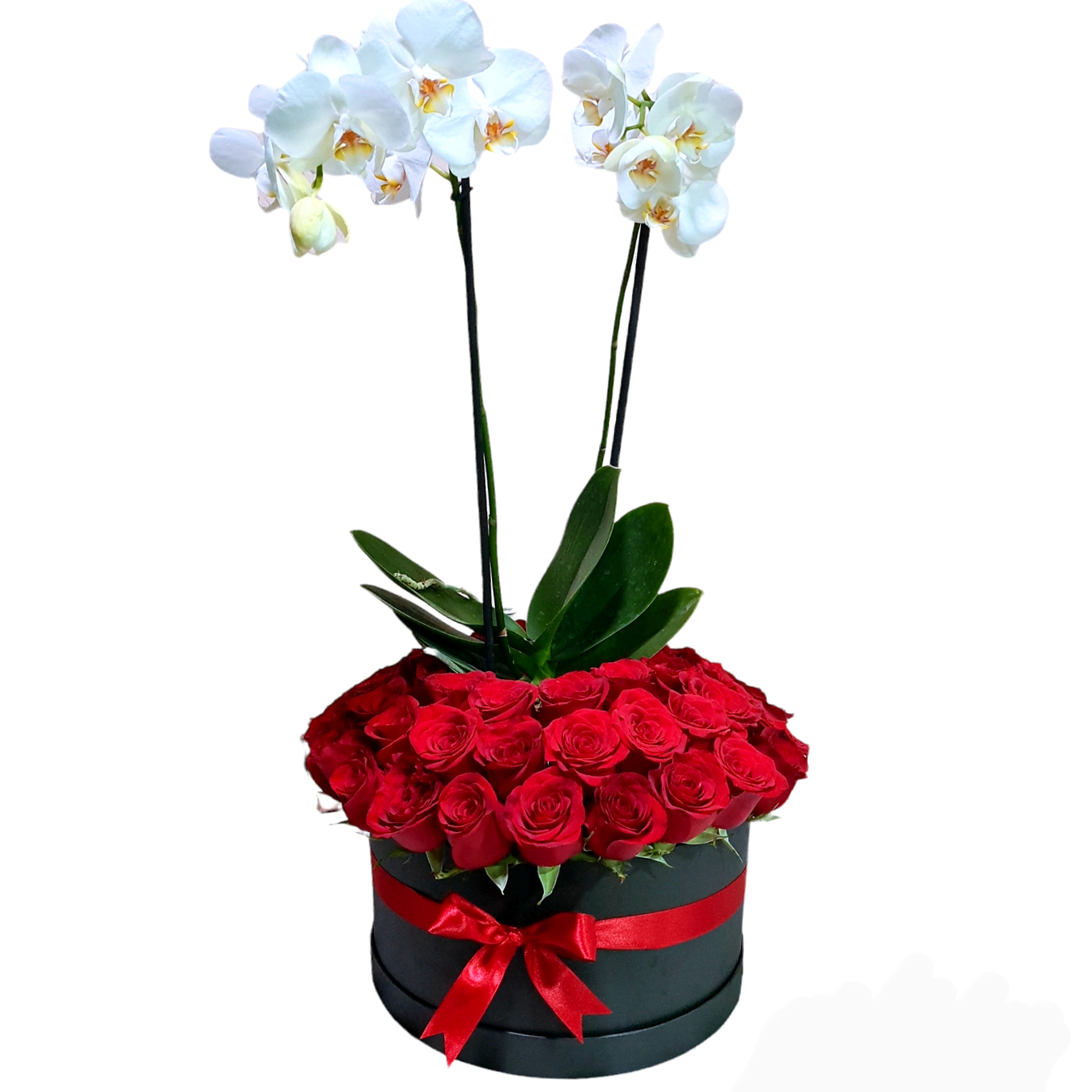 Top 100 arreglos de flores con orquideas