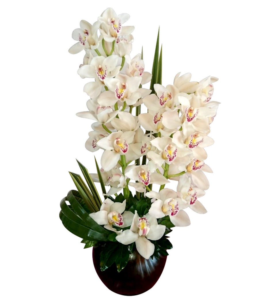Arreglo con orquídeas 2 piezas - Son Flores | Flores a domicilio