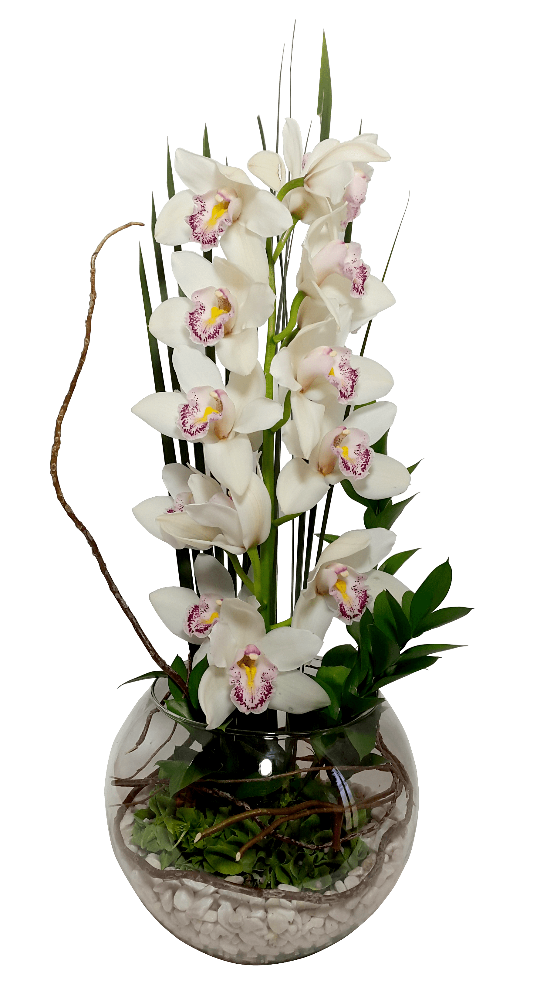 Details 300 arreglos de orquídeas naturales en cristal