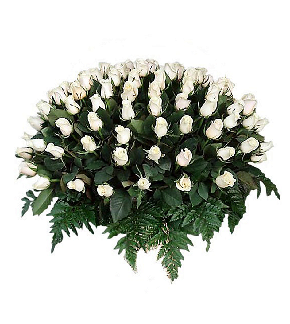 Arreglo de rosas blancas 100 piezas - Son Flores | Flores a domicilio