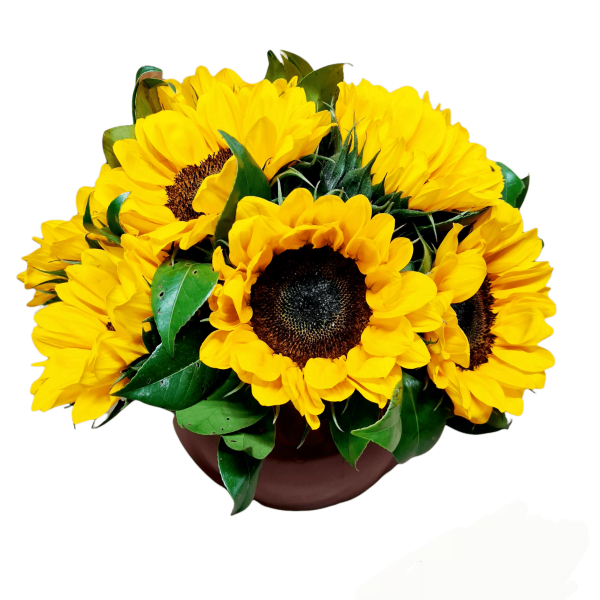 Arreglos florales con girasoles | Envío rápido en CDMX | Compra en línea